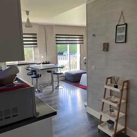 Zenith Stade Parc Expo Palais Des Sports, 2ch 4pers Parking Apartment *
