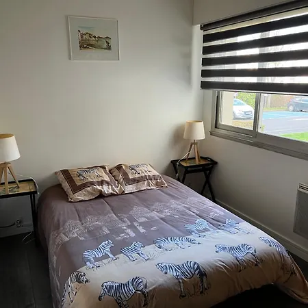 Apartment Zenith Stade Parc Expo Palais Des Sports, 2ch 4pers Parking
