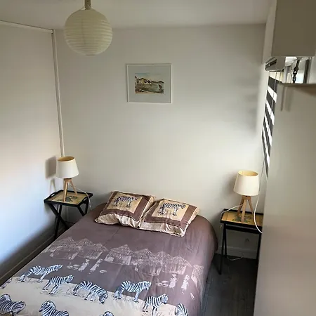 Zenith Stade Parc Expo Palais Des Sports, 2ch 4pers Parking Appartement