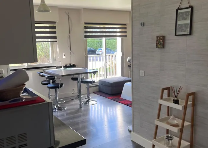 Zenith Stade Parc Expo Palais Des Sports, 2ch 4pers Parking Apartamento *