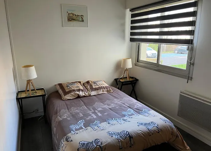 Apartamento Zenith Stade Parc Expo Palais Des Sports, 2ch 4pers Parking