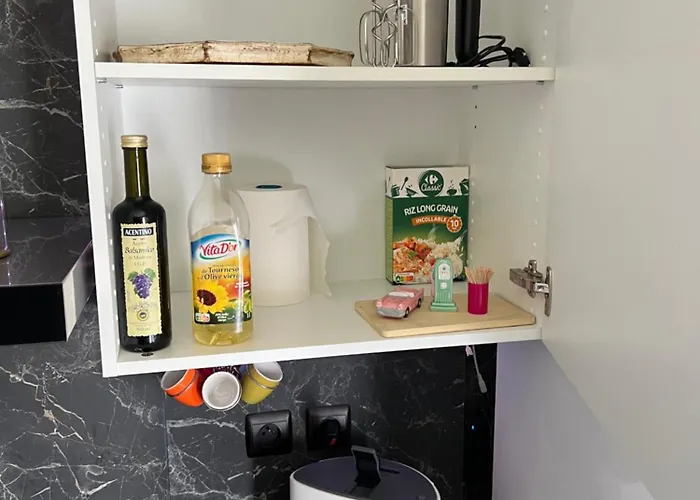 Zenith Stade Parc Expo Palais Des Sports, 2ch 4pers Parking Apartamento *